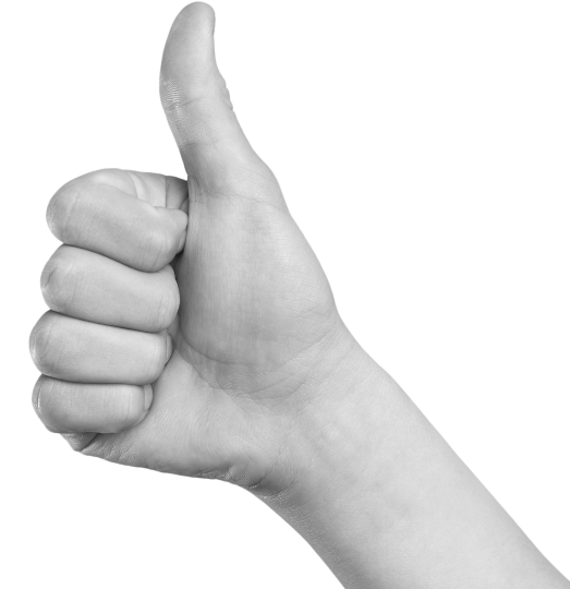 The Growth Thrive The Growth Thrive